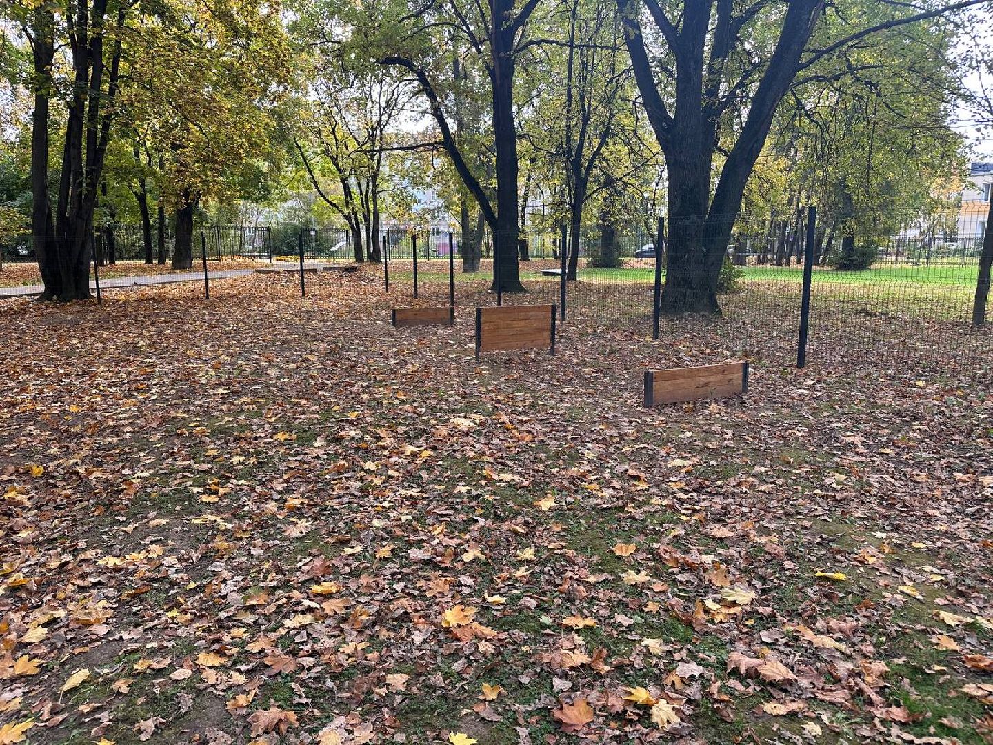 парки, домодедово, домашние животные,