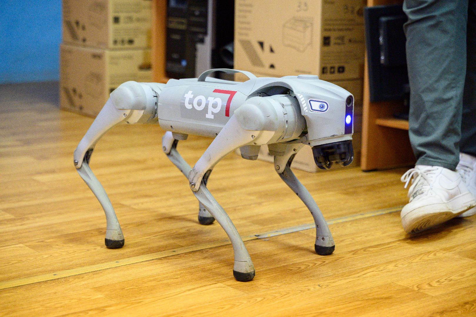 лыткарино, образование, современные технологии, it-технологии, робособака,