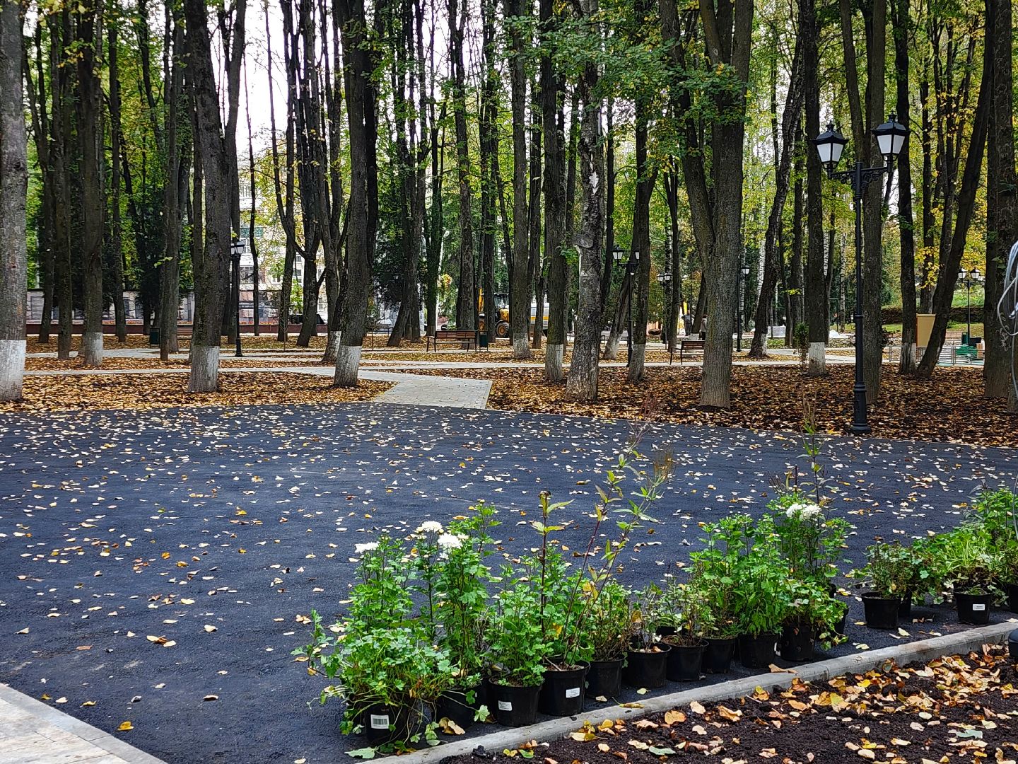 наро-фоминский городской округ, реконструкция парка, ту наро-фоминск, перемены наро-фоминск,