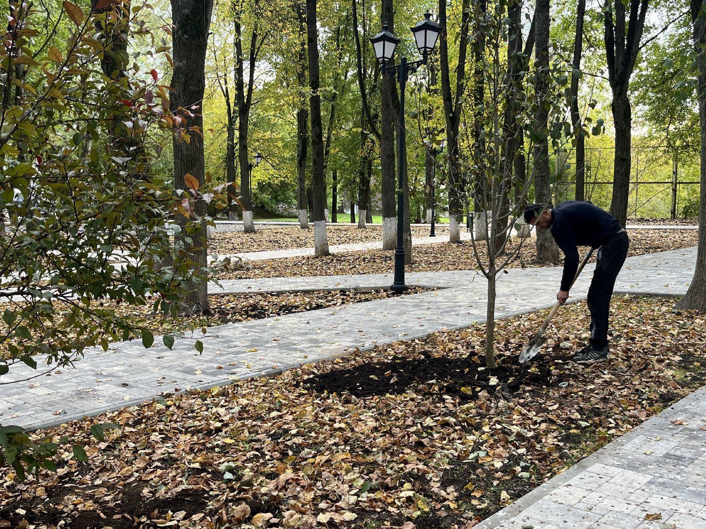 наро-фоминский городской округ, реконструкция парка, ту наро-фоминск, перемены наро-фоминск,