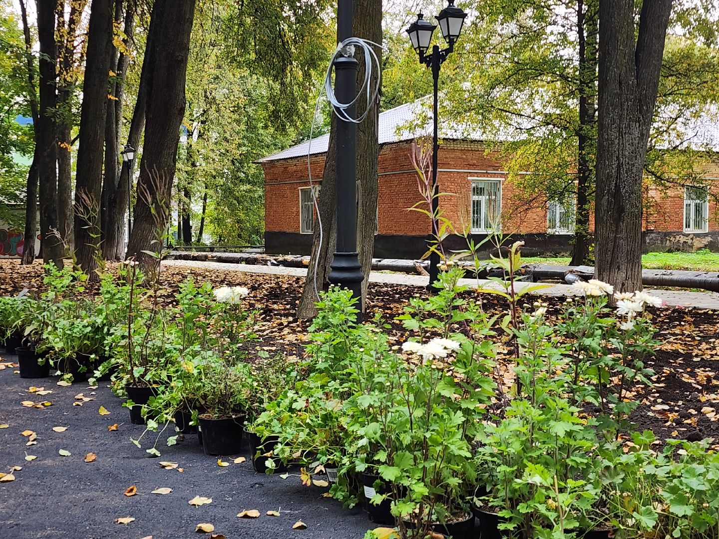 наро-фоминский городской округ, реконструкция парка, ту наро-фоминск, перемены наро-фоминск,