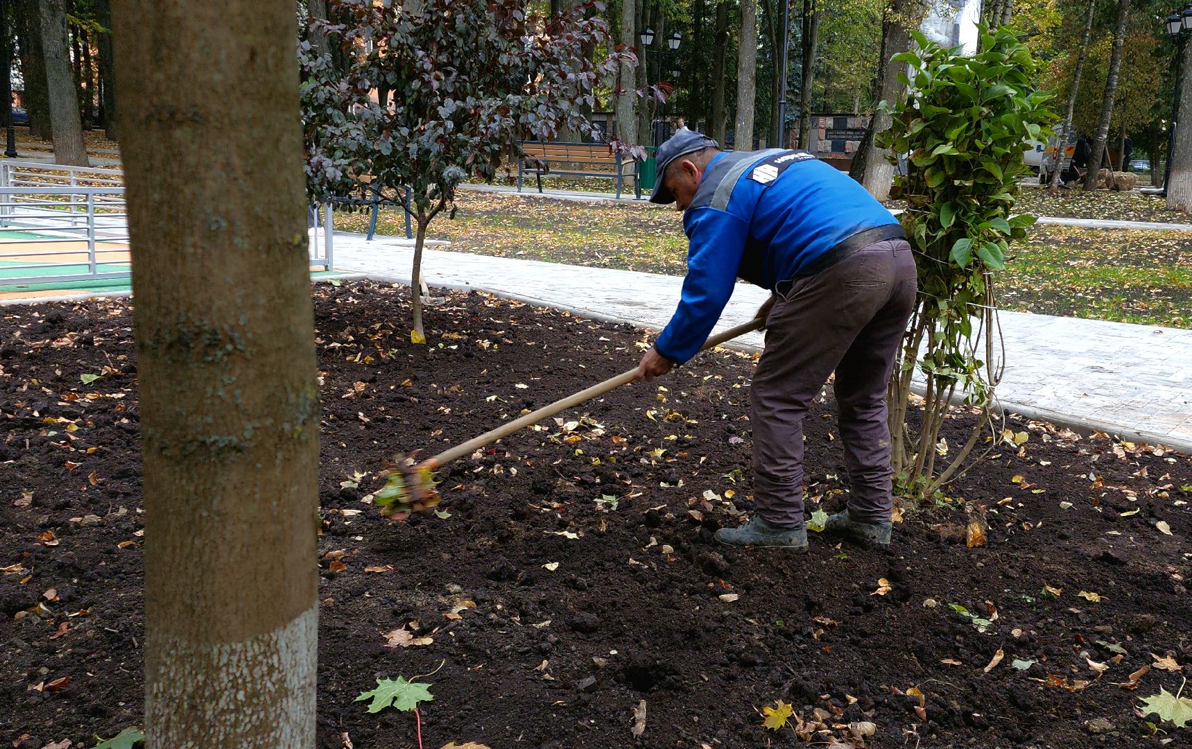наро-фоминский городской округ, реконструкция парка, ту наро-фоминск, перемены наро-фоминск,