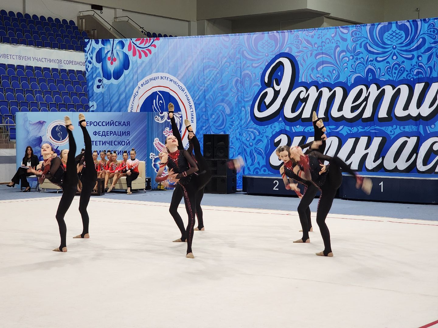 раменское, спорт, первенство россии по эстетической гимнастике , юные гимнастки,