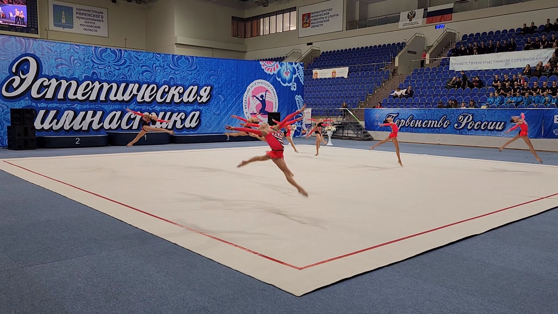 раменское, спорт, первенство россии по эстетической гимнастике , юные гимнастки,