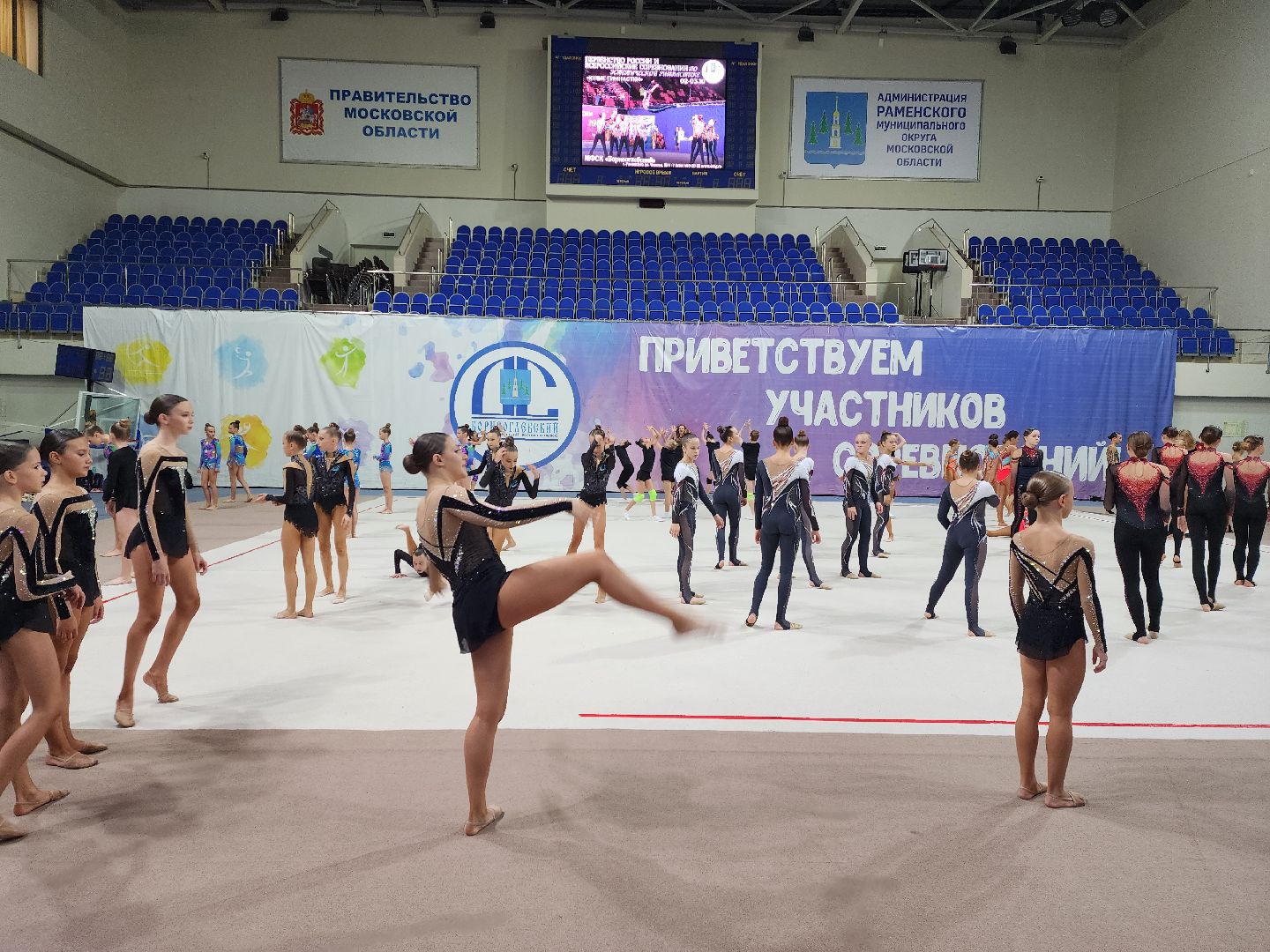 раменское, спорт, первенство россии по эстетической гимнастике , юные гимнастки,