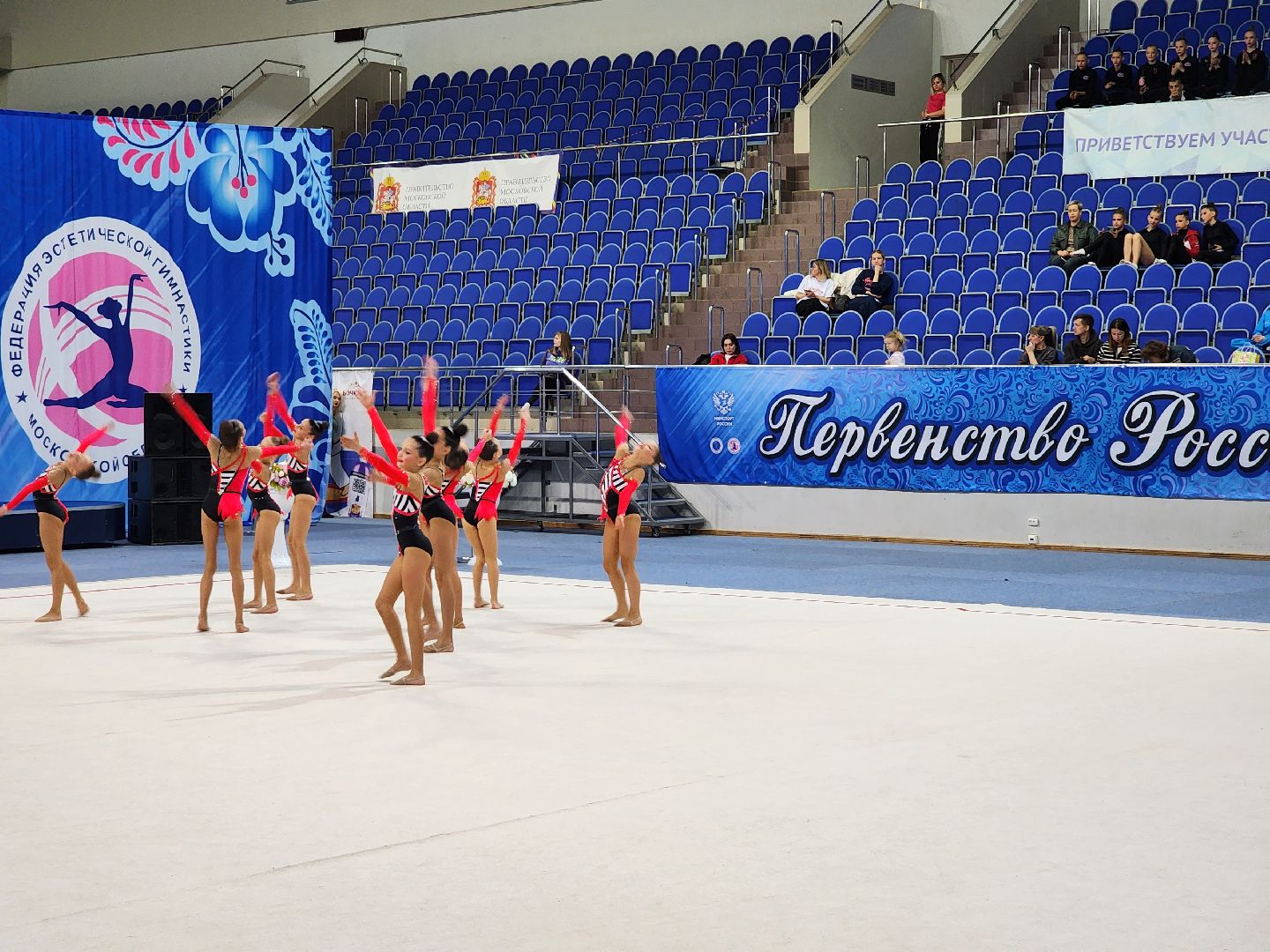 раменское, спорт, первенство россии по эстетической гимнастике , юные гимнастки,