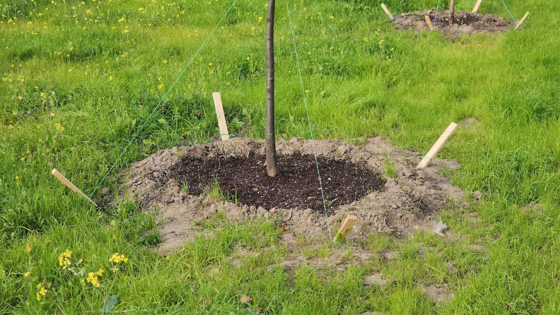 щёлково, благоустройство, новая пешеходная зона,