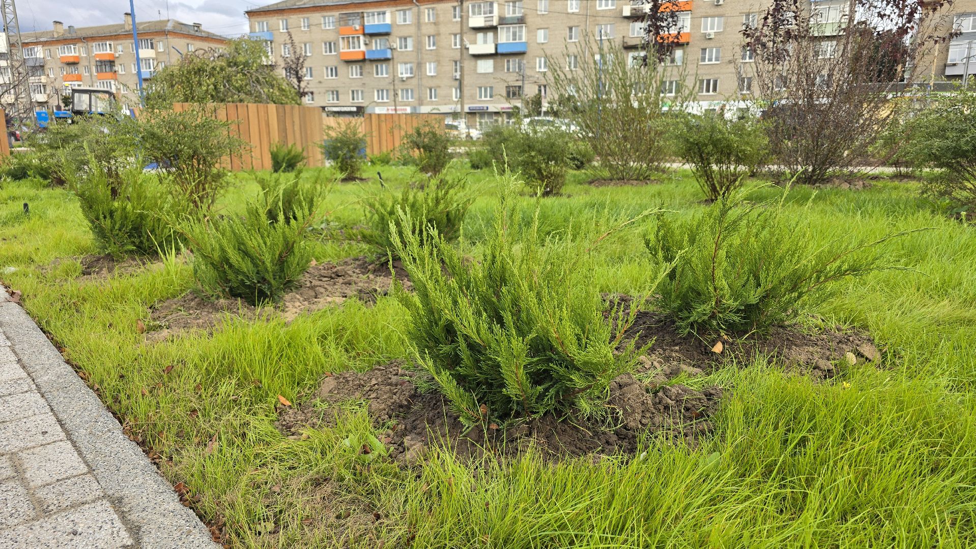 Коломна, благоустройство, сквер,