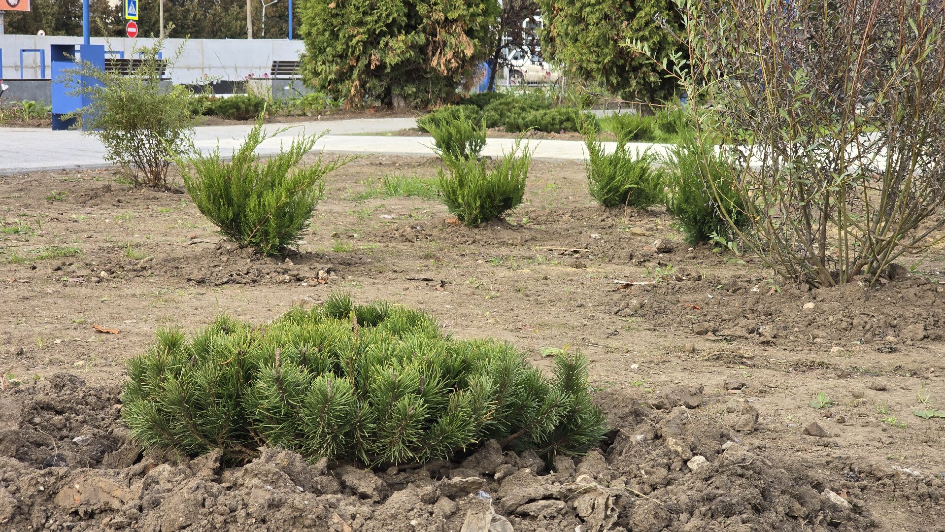Коломна, благоустройство, сквер,