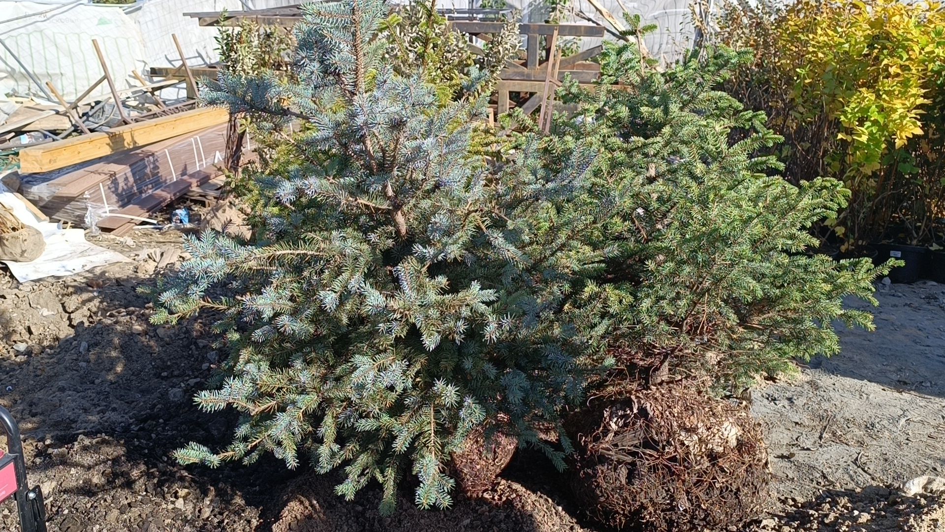 благоустройство, лобня, парк,