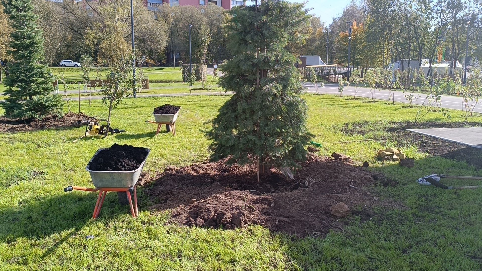 благоустройство, лобня, парк,