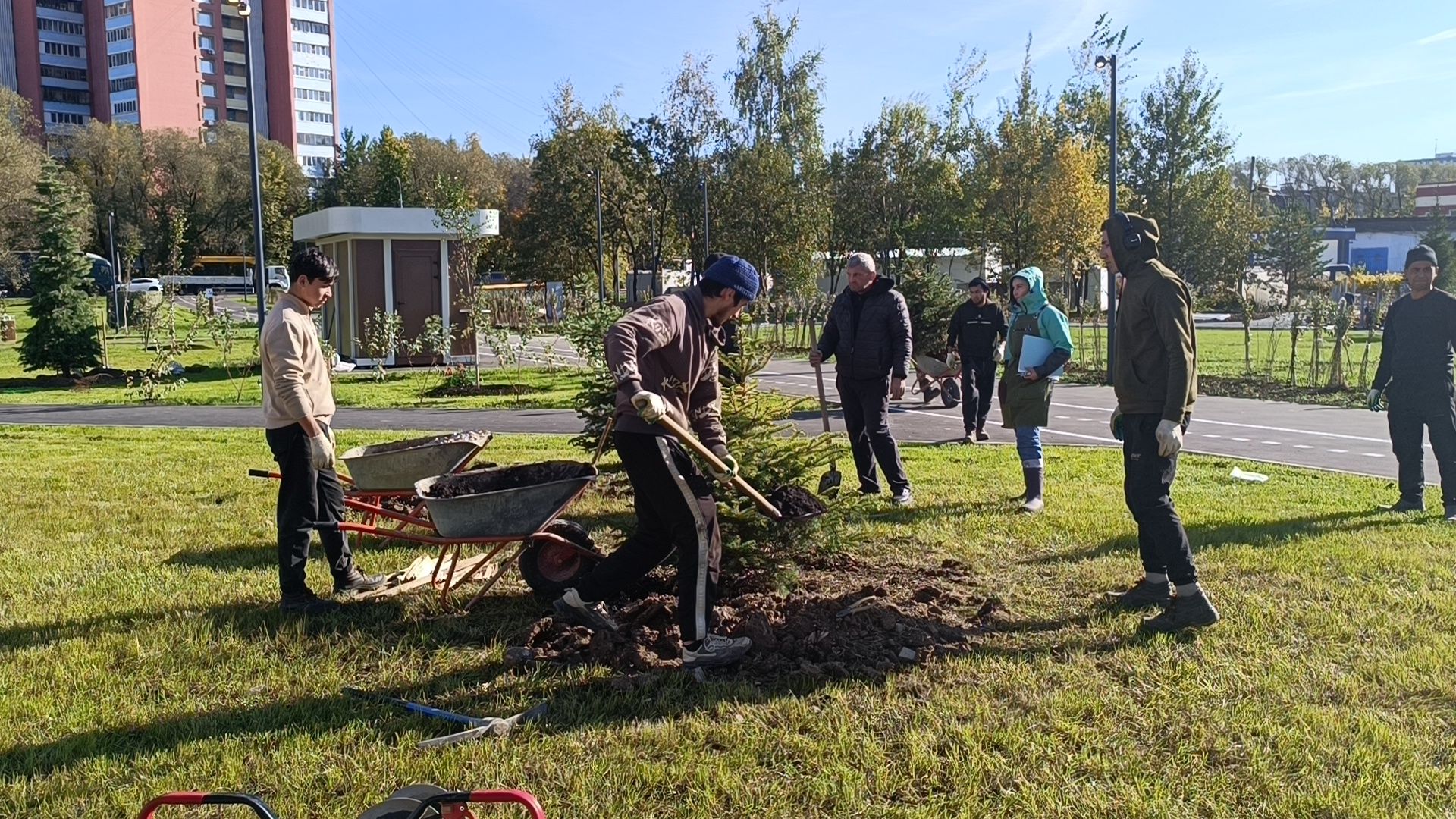 благоустройство, лобня, парк,