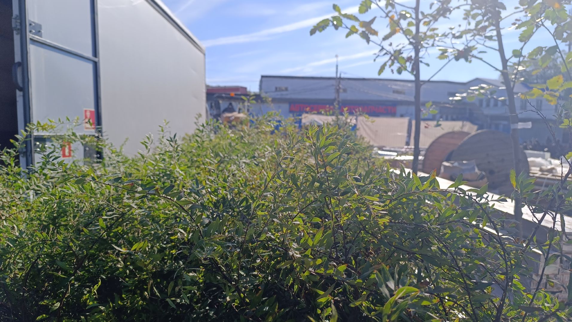 благоустройство, лобня, парк,