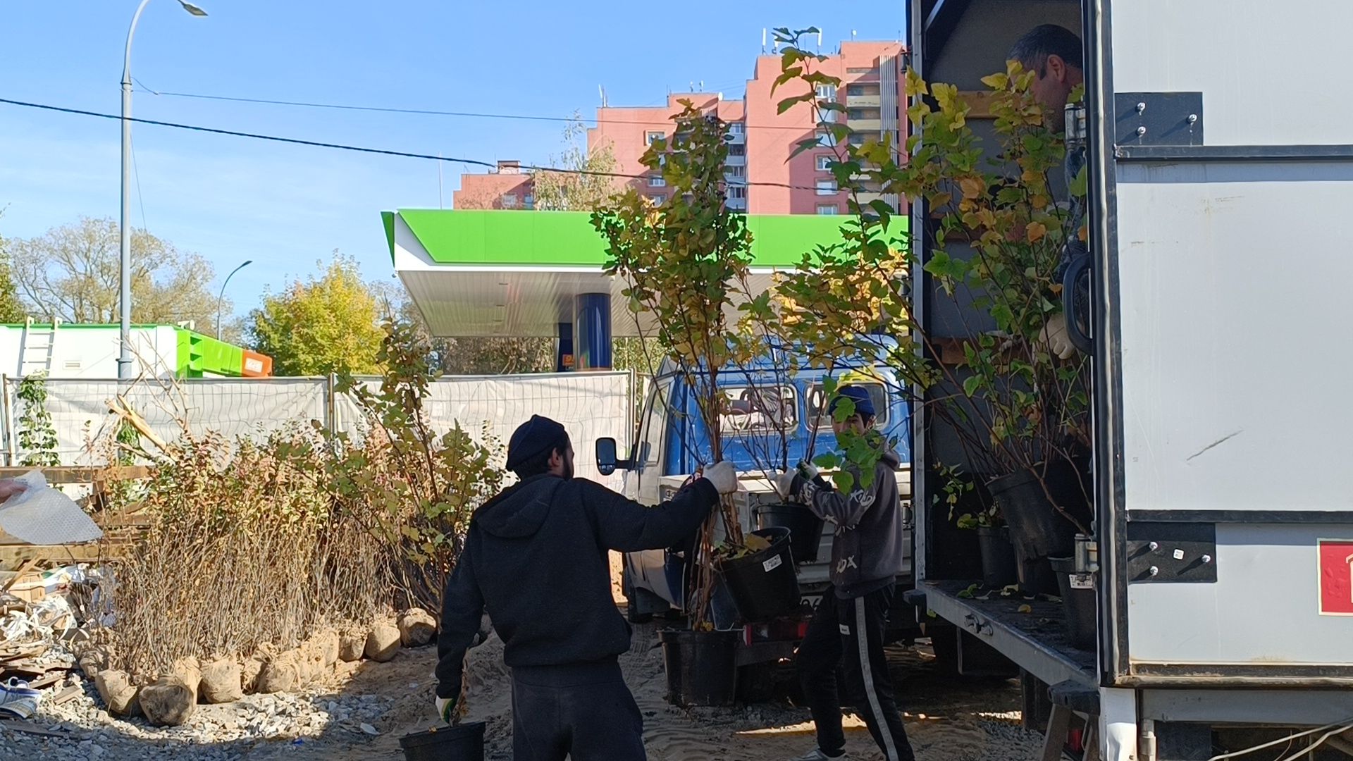 благоустройство, лобня, парк,