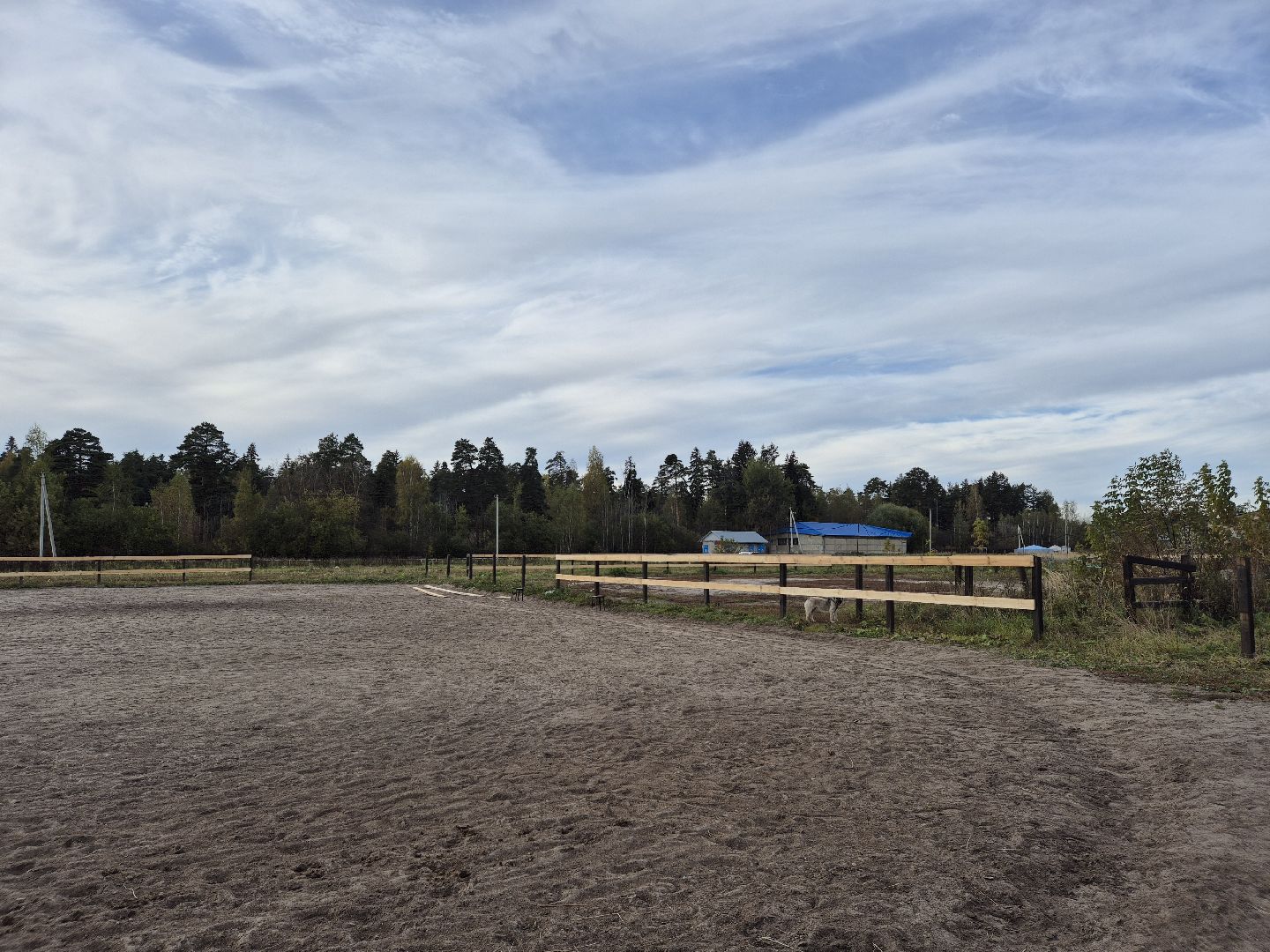 частная конюшня, конный спорт, благоустройство конюшни,