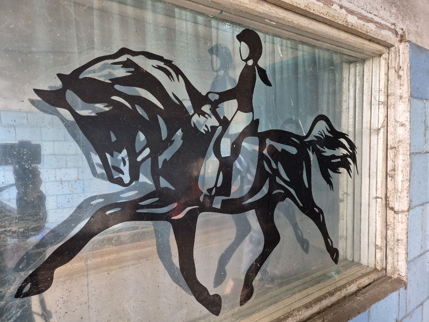 частная конюшня, конный спорт, благоустройство конюшни,