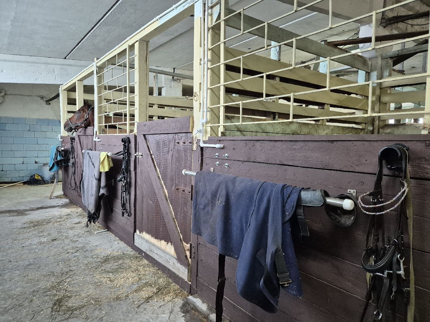 частная конюшня, конный спорт, благоустройство конюшни,
