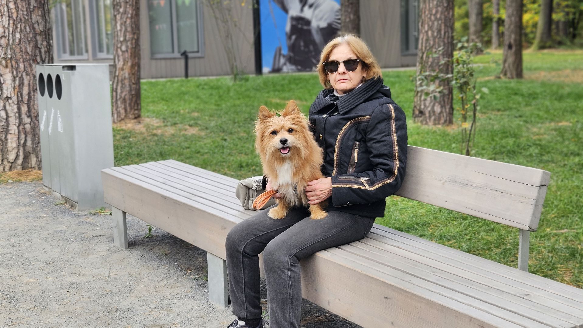 чипирование, ветеринар, животные, жуковский,