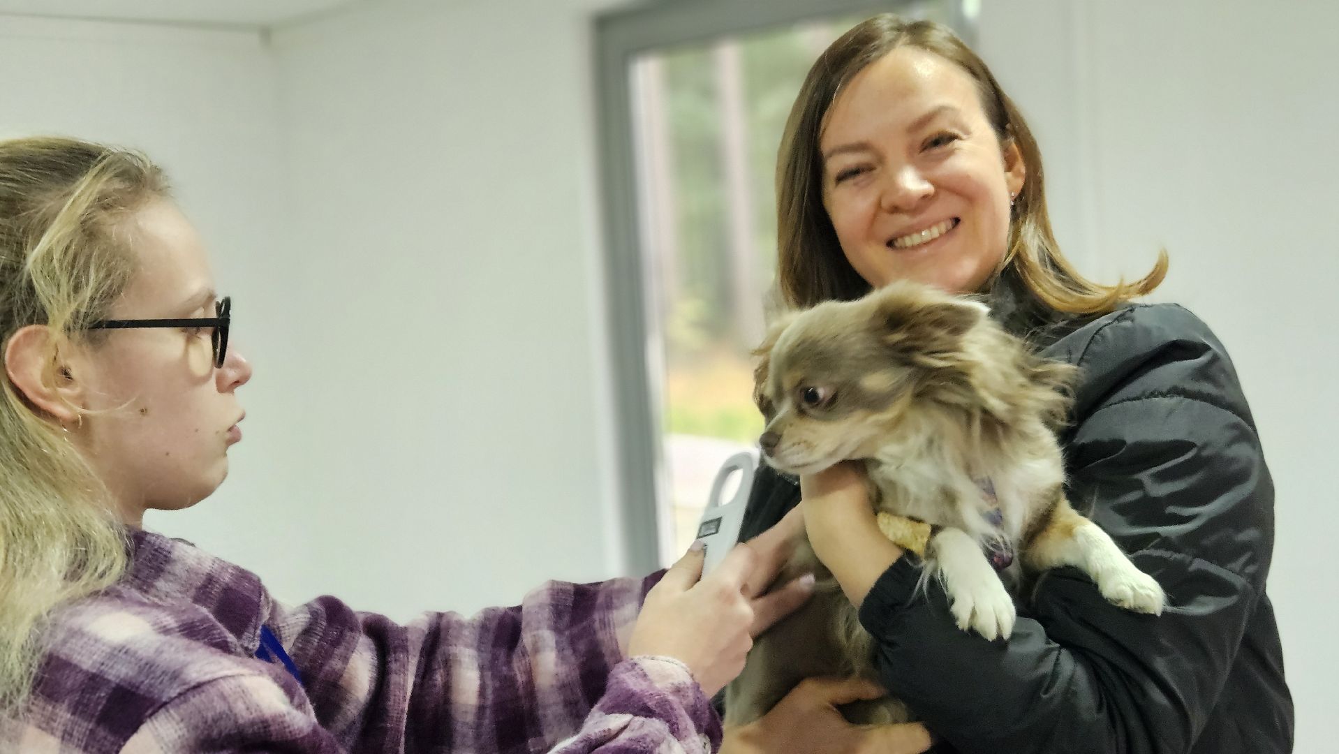 чипирование, ветеринар, животные, жуковский,