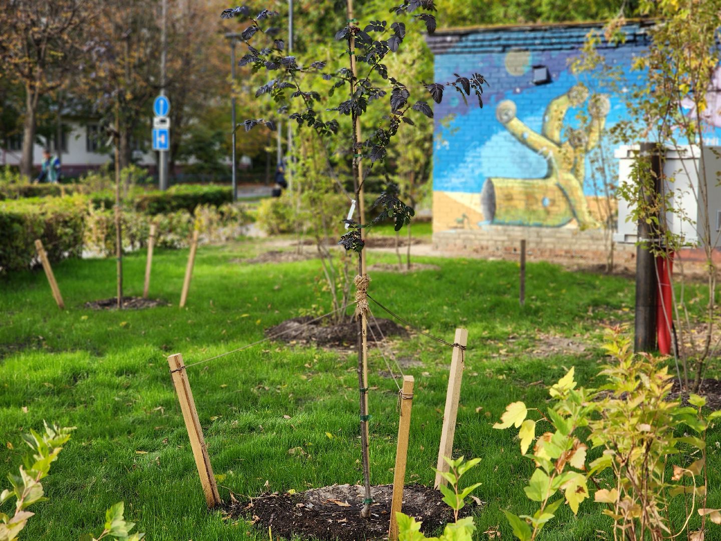 королёв, благоустройство , сквер имени чмырева открыт, администрация городского округа королев ,