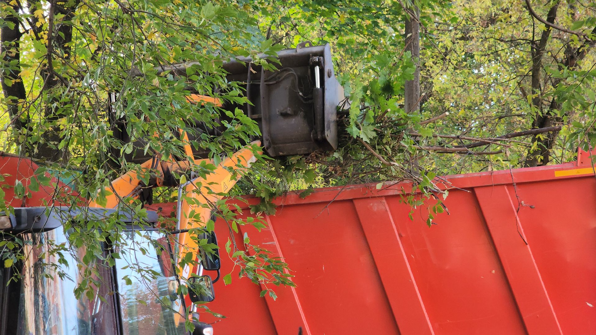 щёлково, уборка територии, обрезка веток,