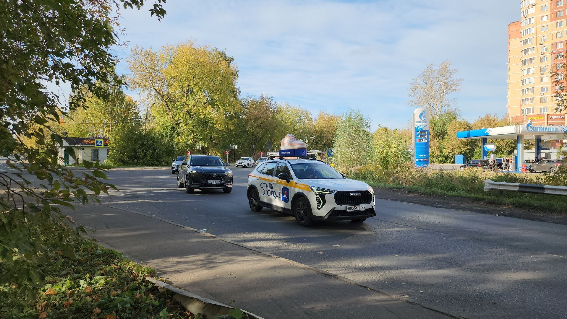 щёлково, уборка територии, обрезка веток,