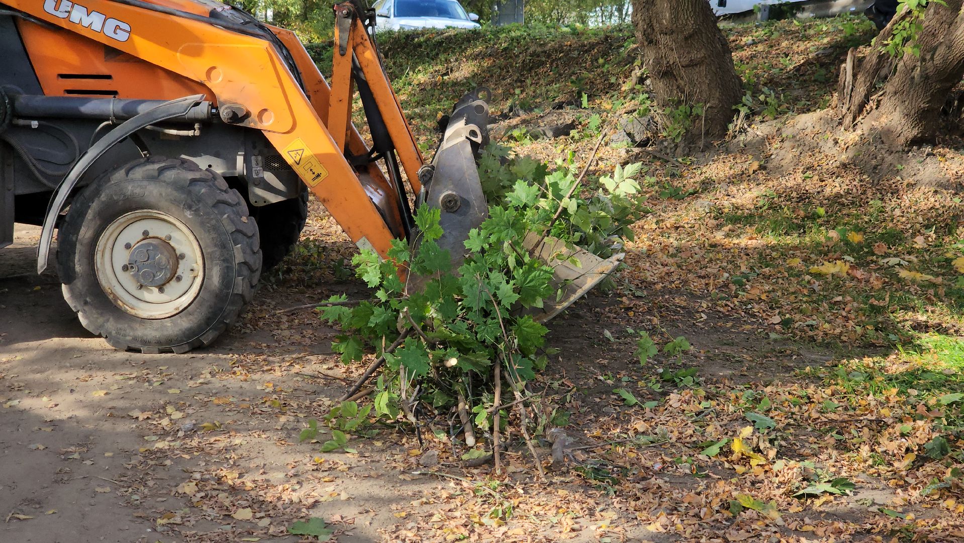 щёлково, уборка територии, обрезка веток,