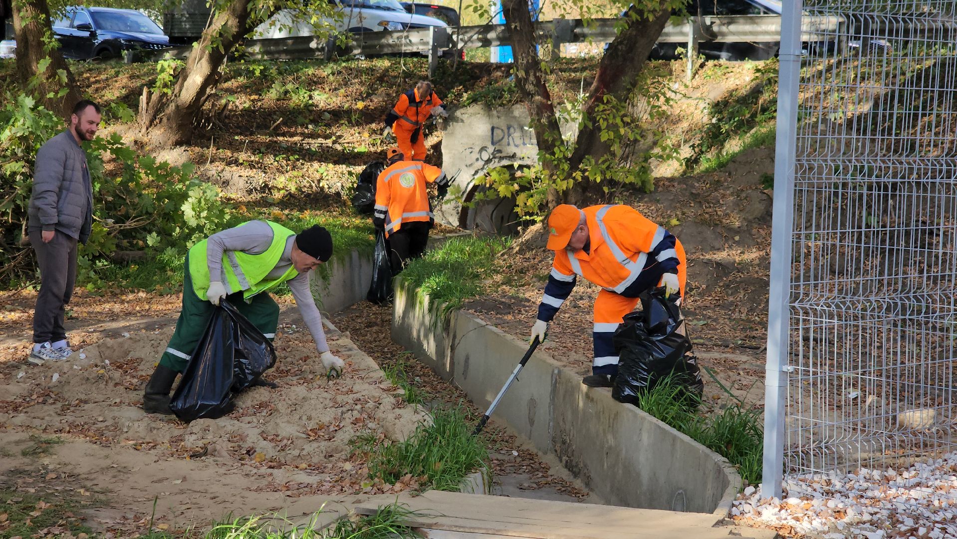 щёлково, уборка територии, обрезка веток,