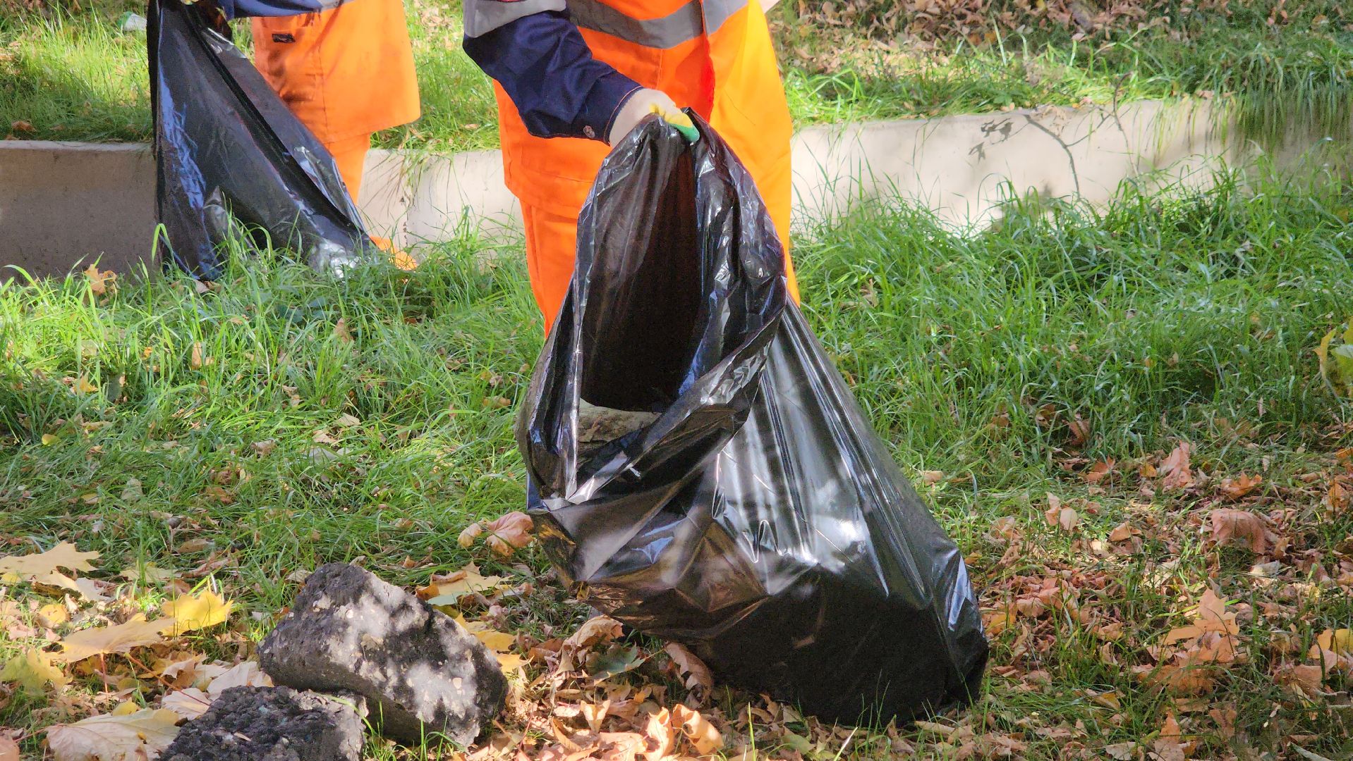 щёлково, уборка територии, обрезка веток,