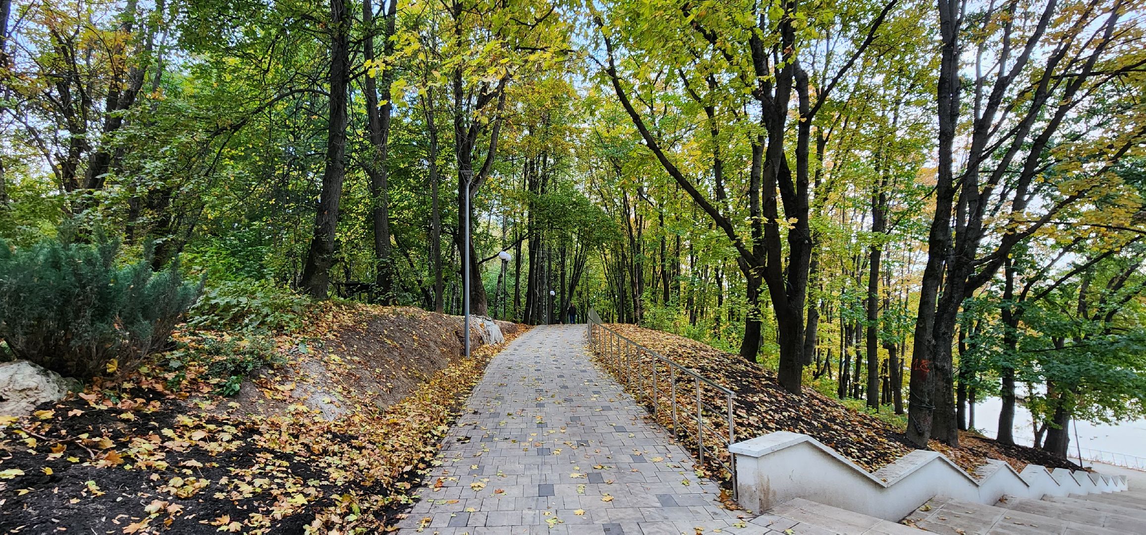 Химки, Благоустройство, парки, экотропа,