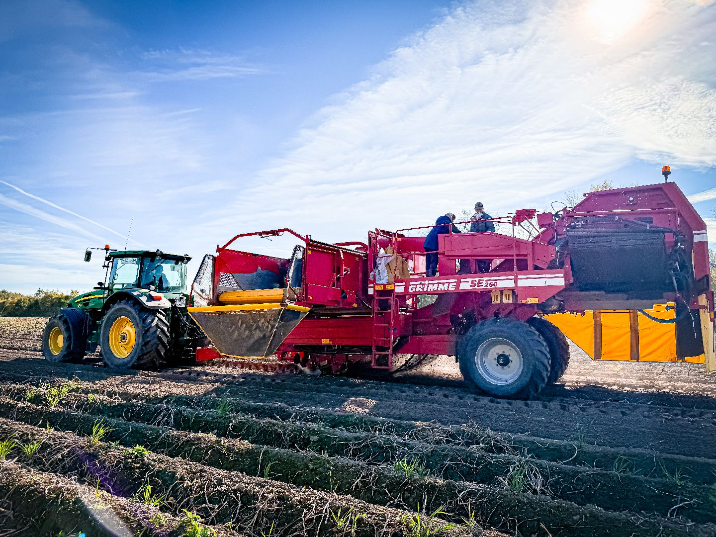 клин, экономика, сбор урожая, картофель, сельское хозяйство,