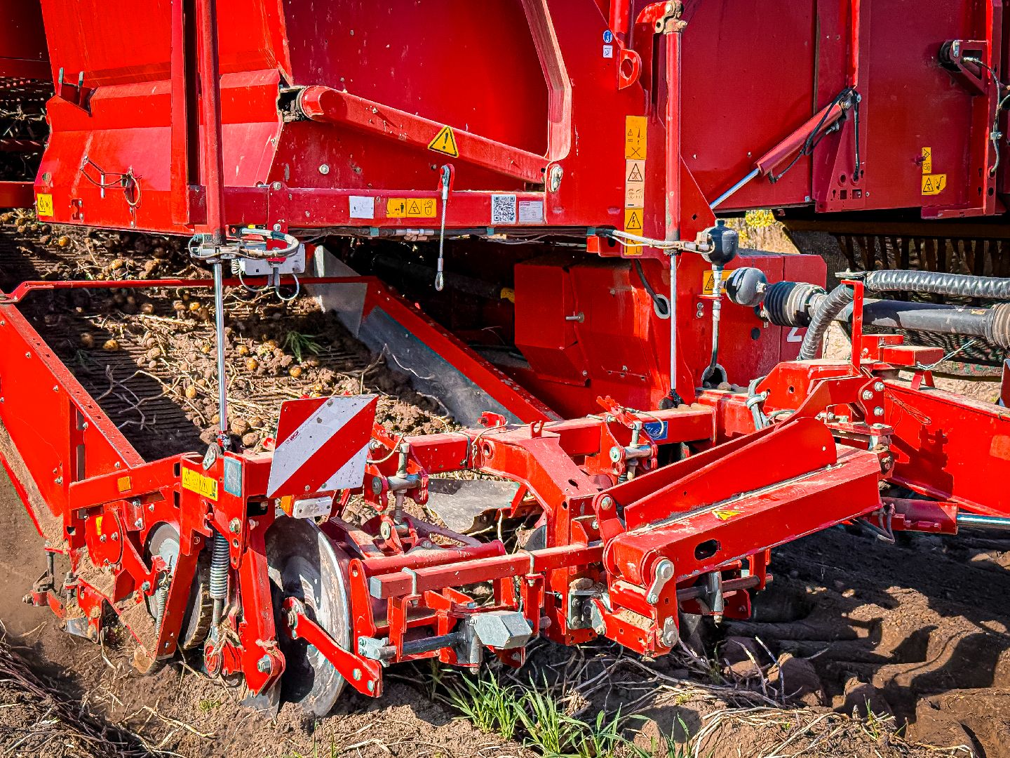 клин, экономика, сбор урожая, картофель, сельское хозяйство,