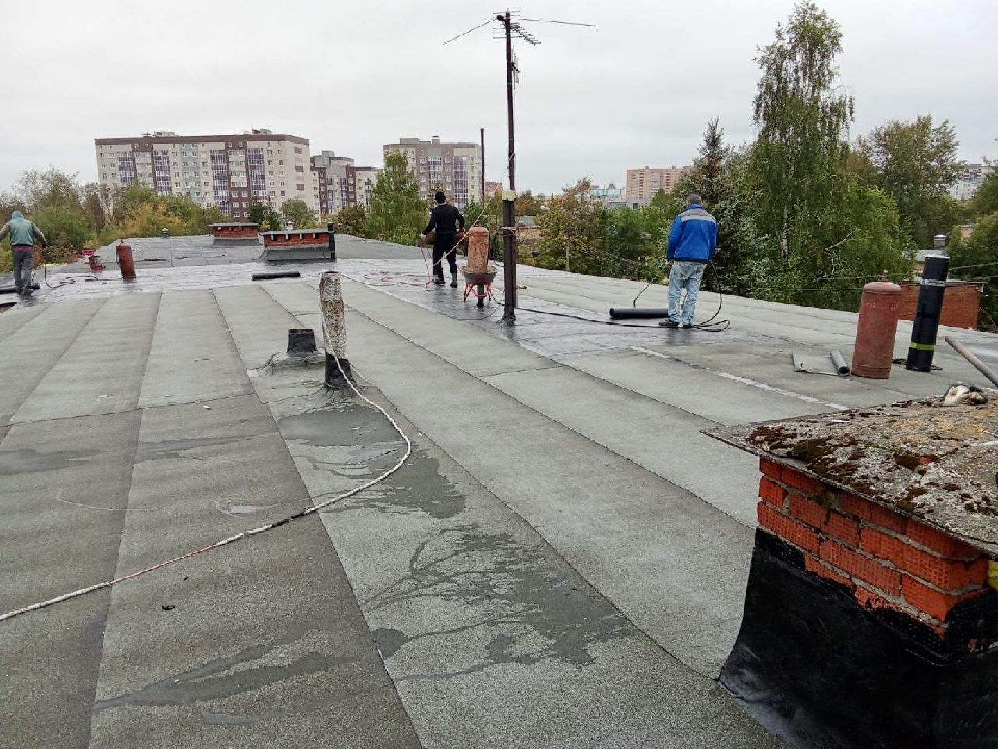 сергиев посад,  сергиево-посадская больница, минздрав мо,