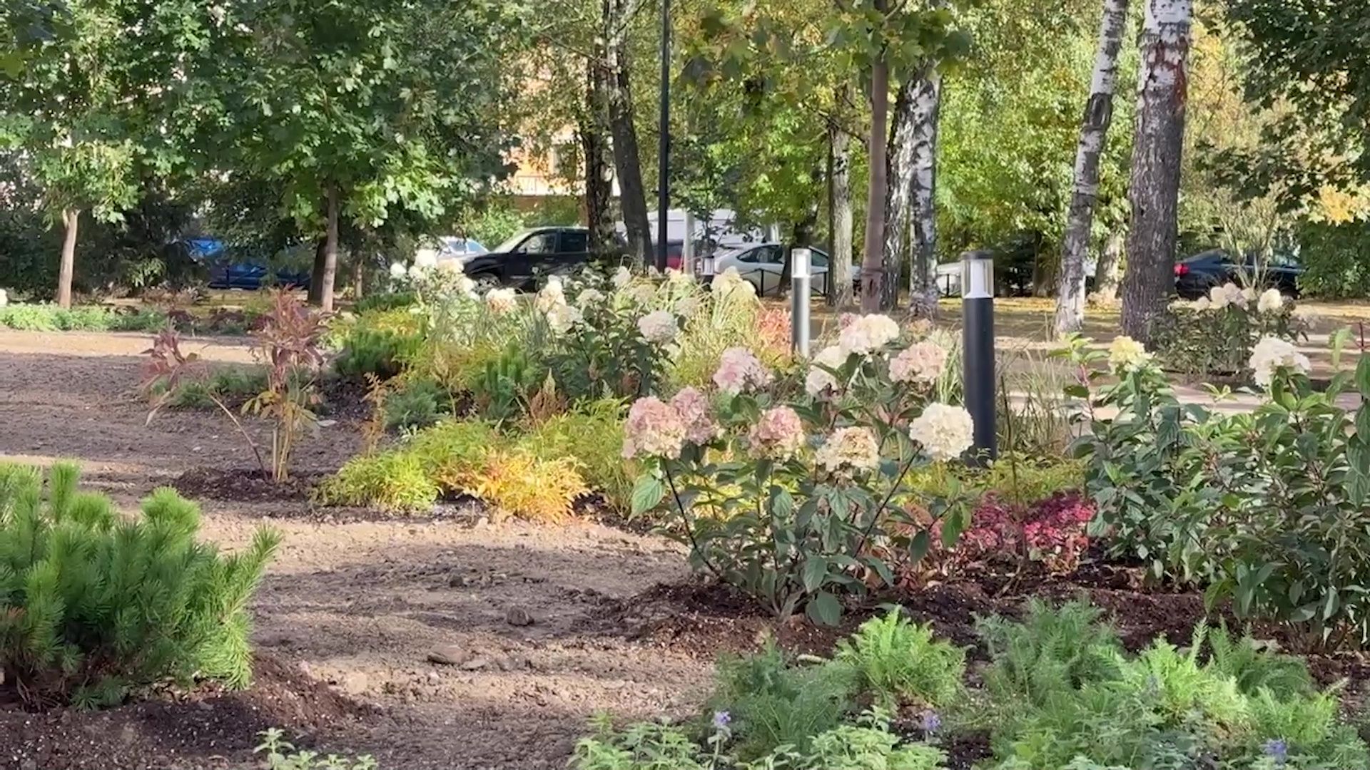 Реутов, благоустройство, сквер, качели, гортензии,