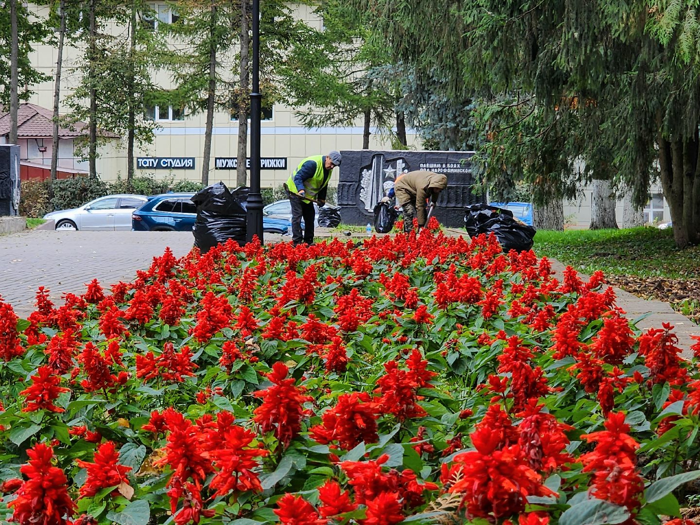 наро-фоминск, наро-фоминский городской округ, мбу благоустройство и дорожное хозяйство, осеньвпарке,