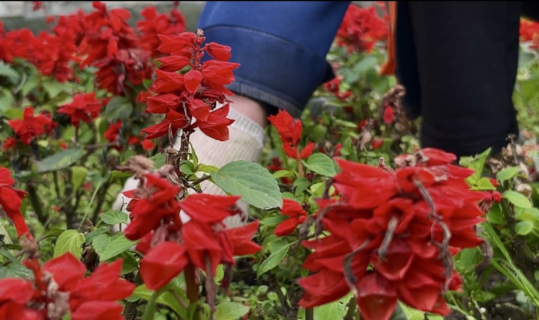 наро-фоминск, наро-фоминский городской округ, мбу благоустройство и дорожное хозяйство, осеньвпарке,