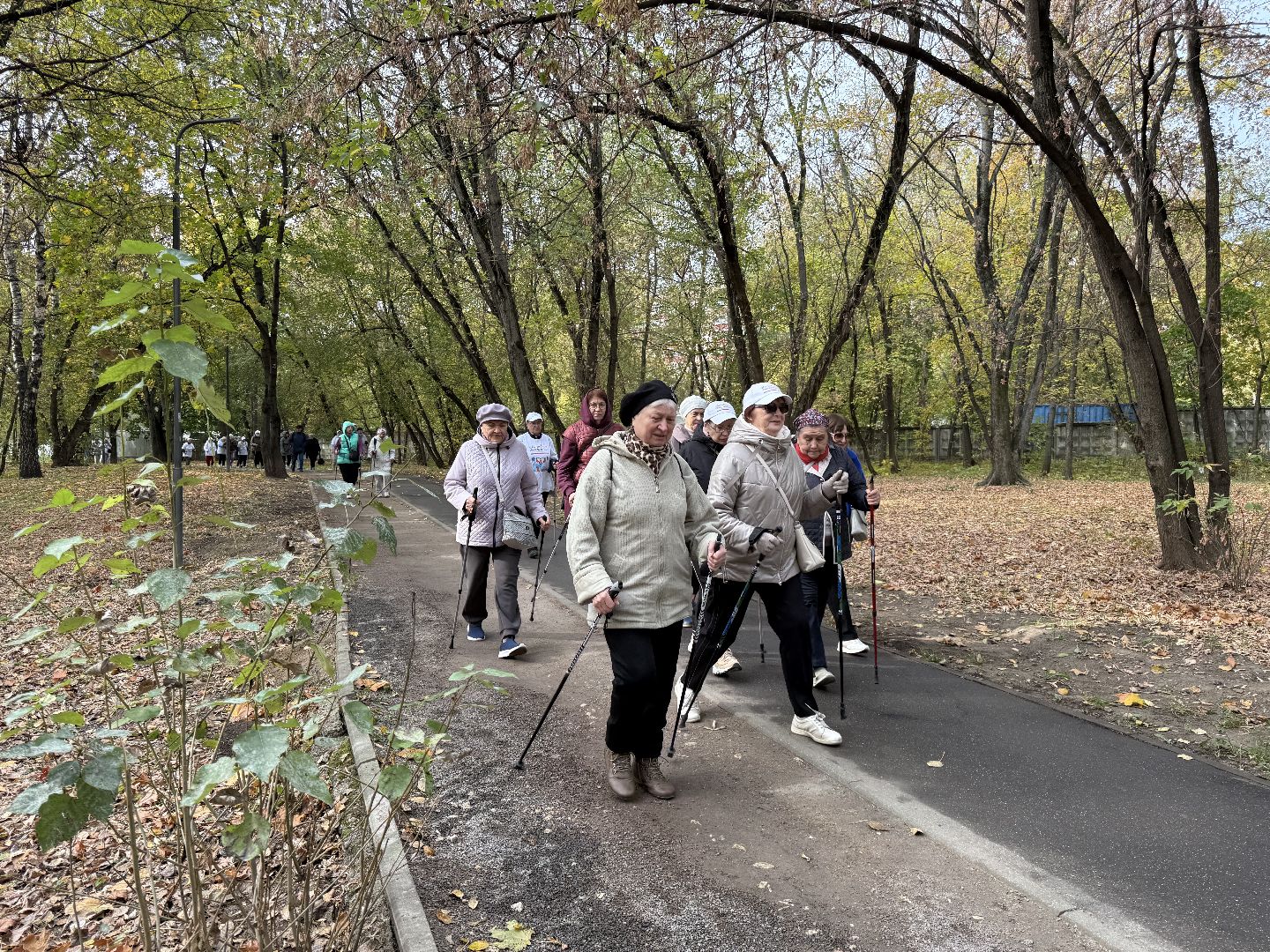 Люберцы, Активное долголетие , Акция, 10000 шагов, Парк, Спорт,