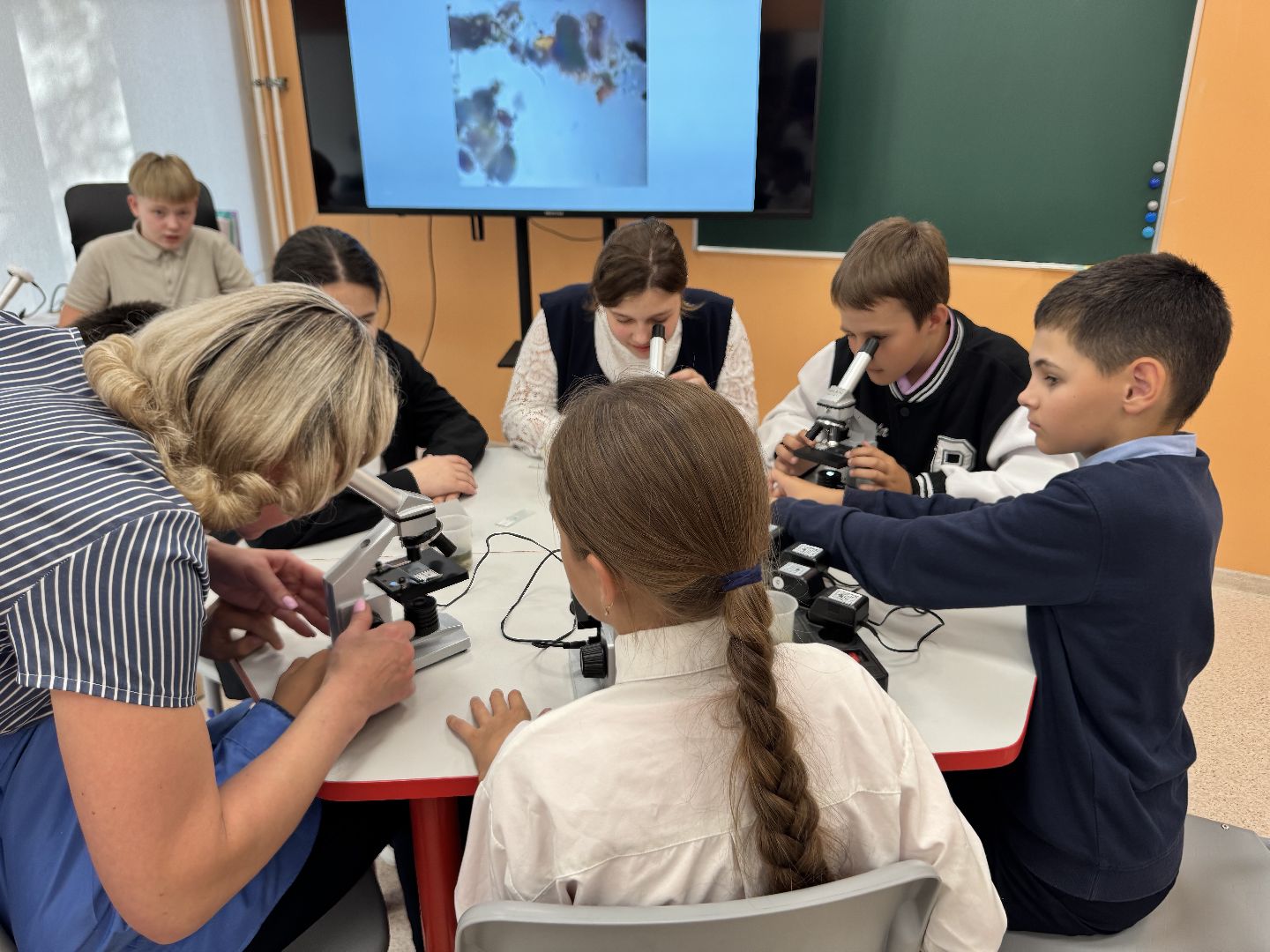 шаховская, день учителя, образование,