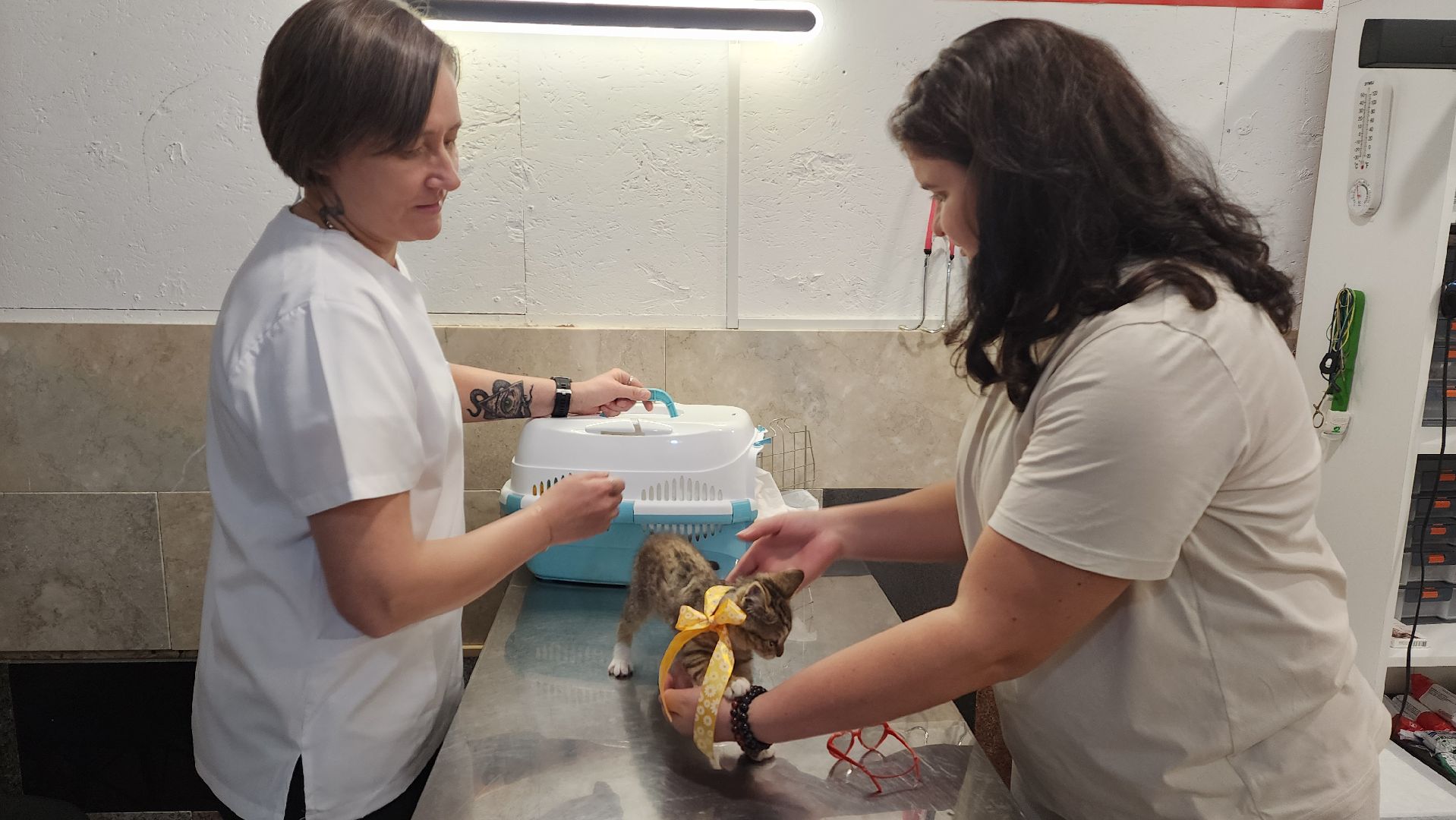 ветклиника, доктор,красногорск,