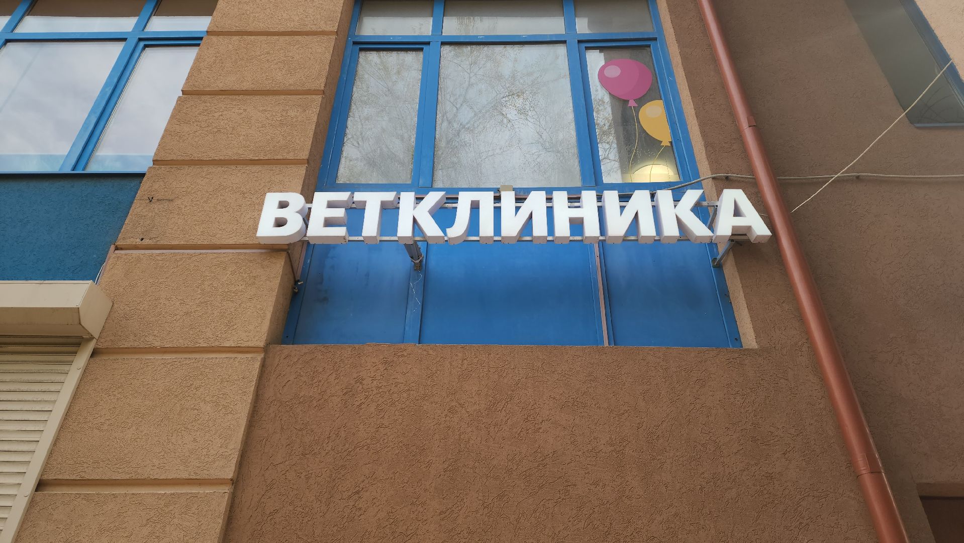 ветклиника, доктор,красногорск,