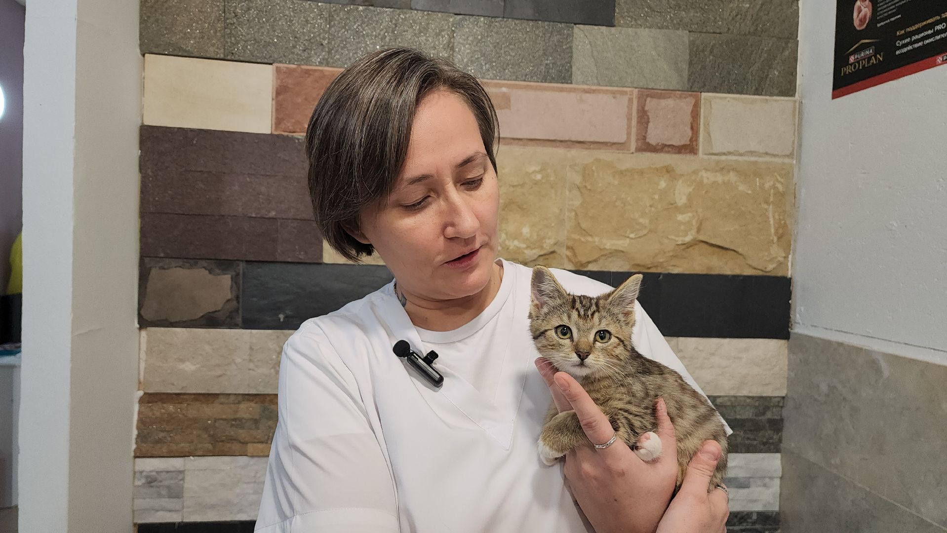 ветклиника, доктор,красногорск,