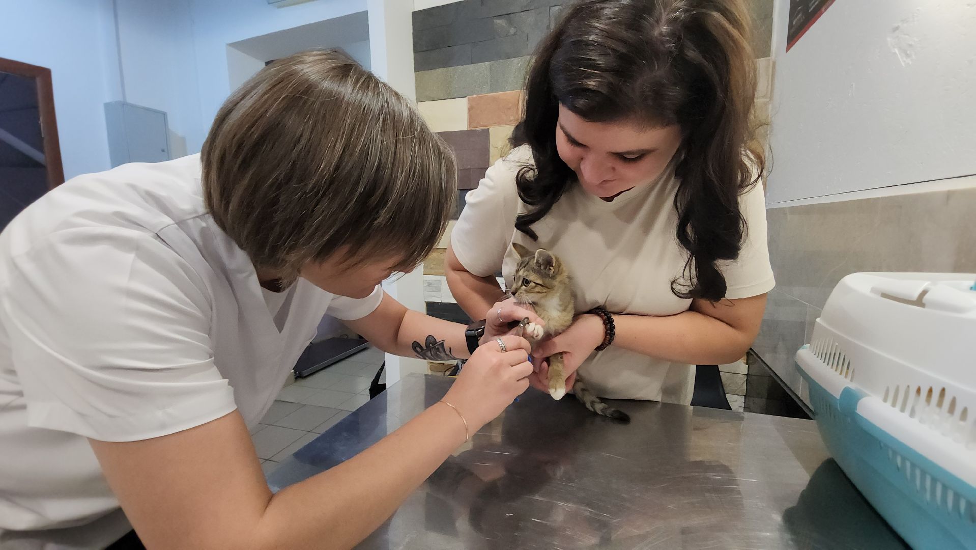 ветклиника, доктор,красногорск,