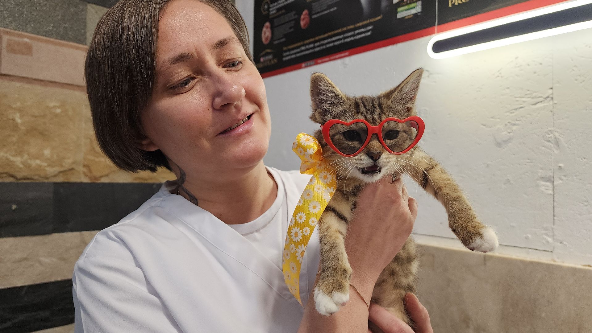 ветклиника, доктор,красногорск,