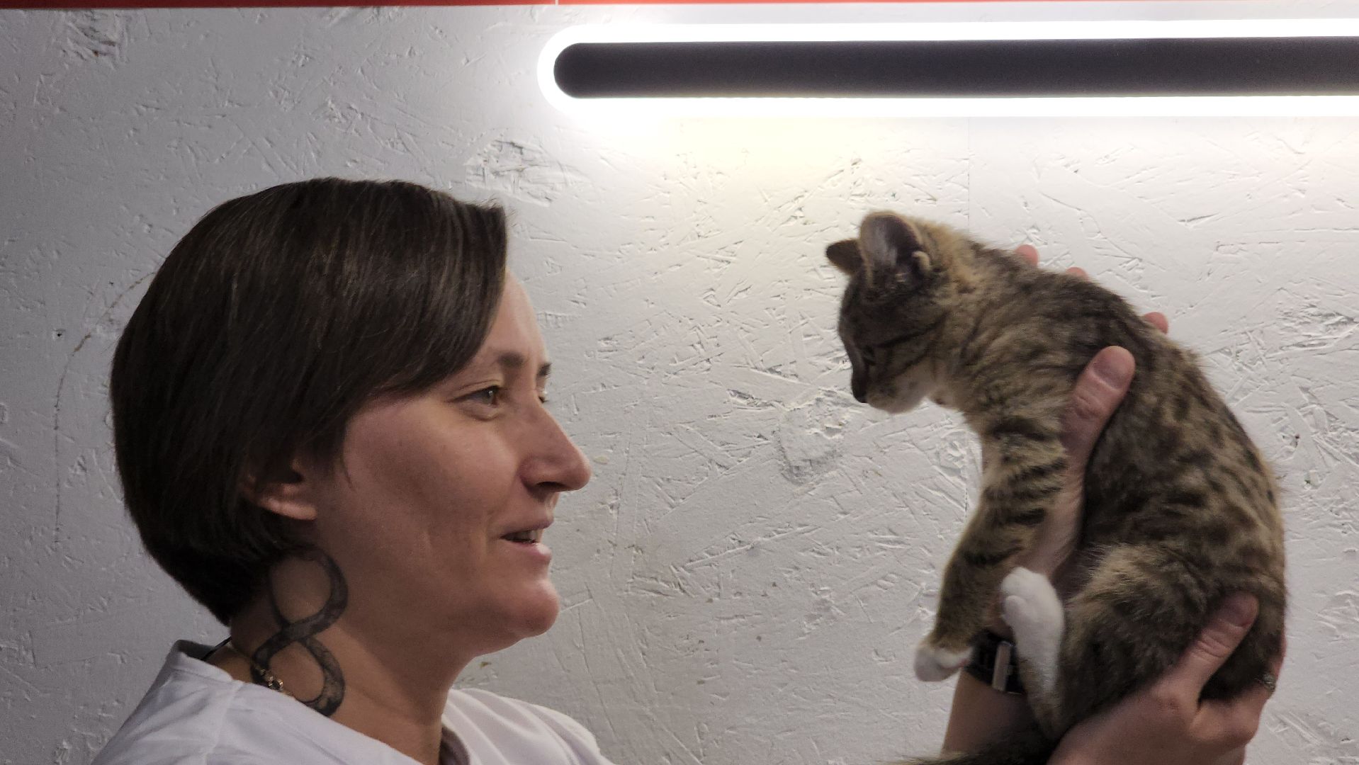 ветклиника, доктор,красногорск,