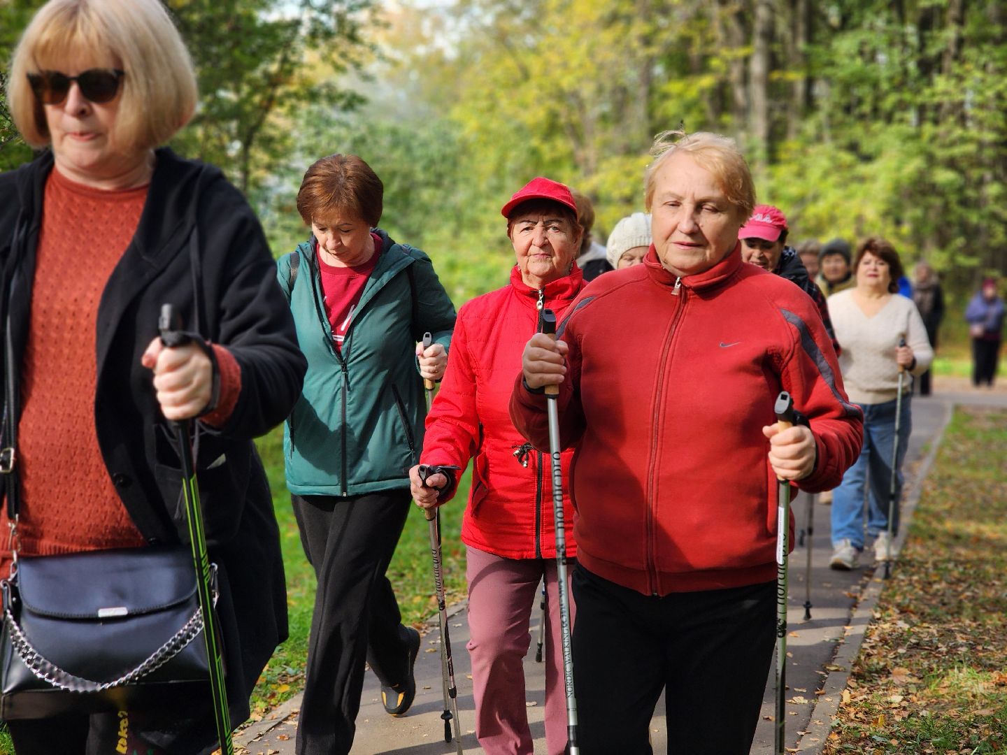 скандинавская ходьба, активное долголетие, спорт, ногинск, богородский городской округ,