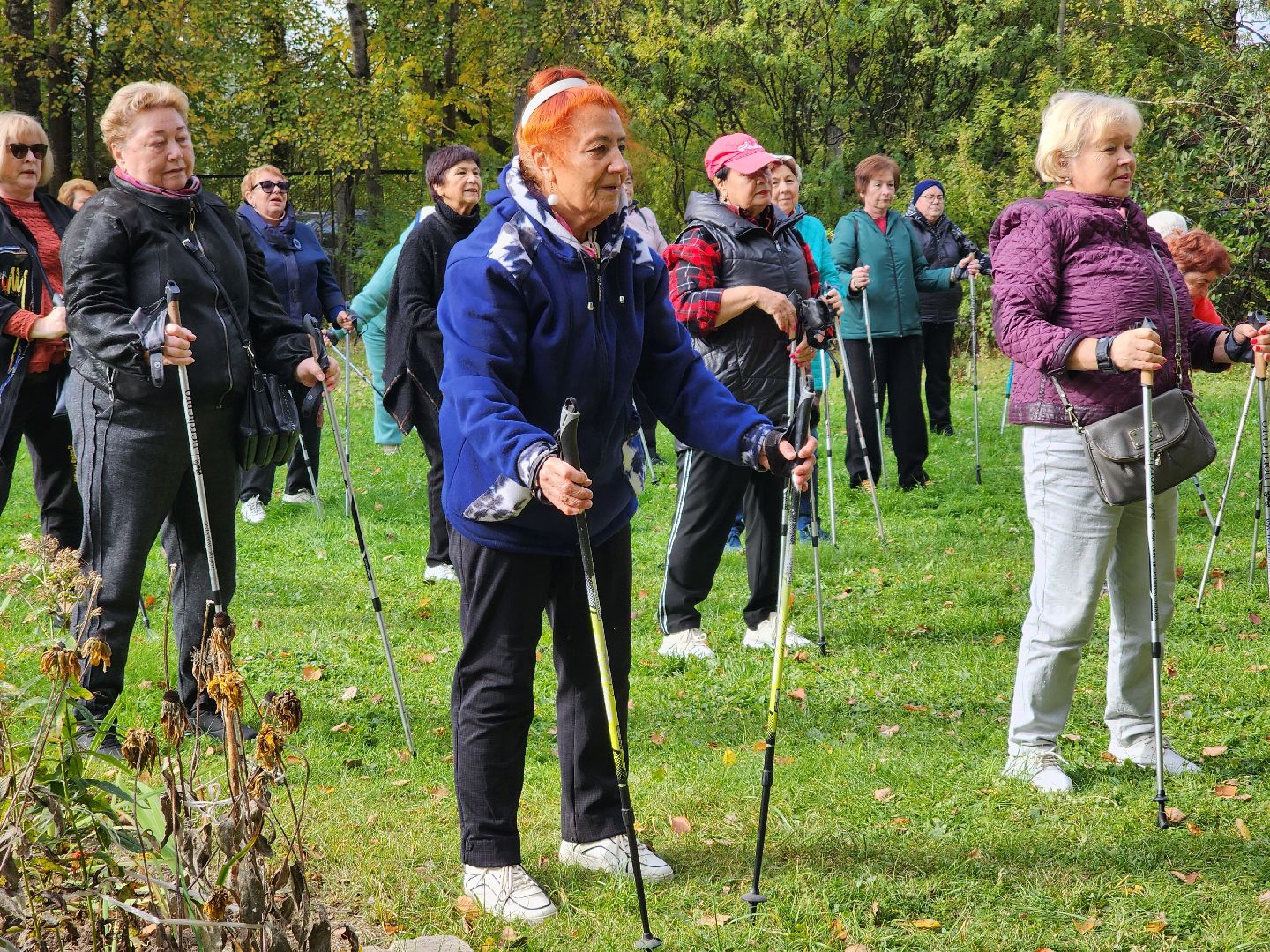 скандинавская ходьба, активное долголетие, спорт, ногинск, богородский городской округ,