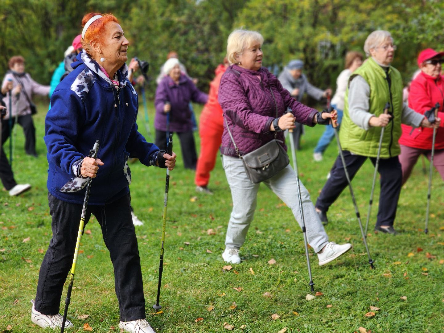 скандинавская ходьба, активное долголетие, спорт, ногинск, богородский городской округ,
