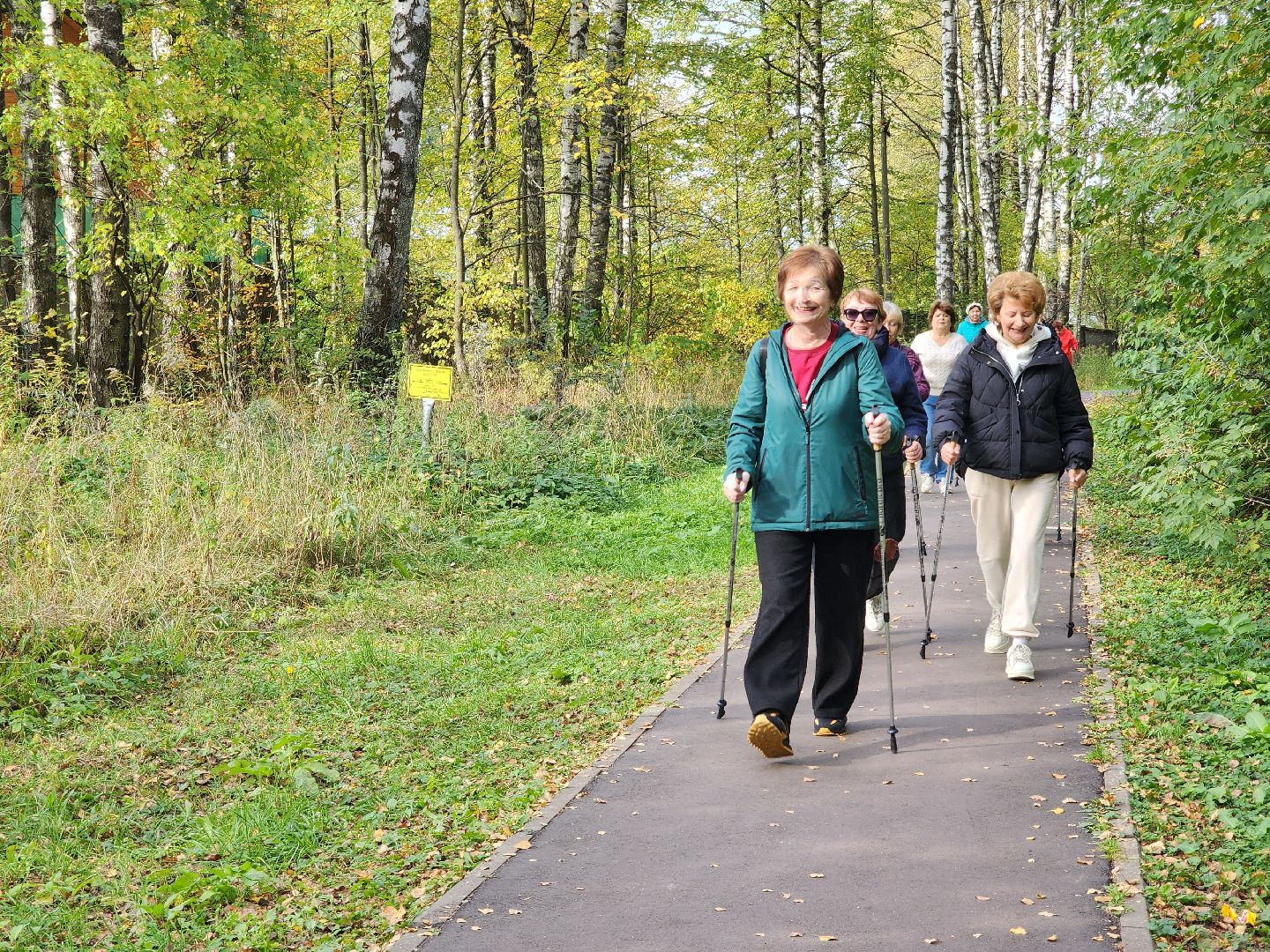 скандинавская ходьба, активное долголетие, спорт, ногинск, богородский городской округ,