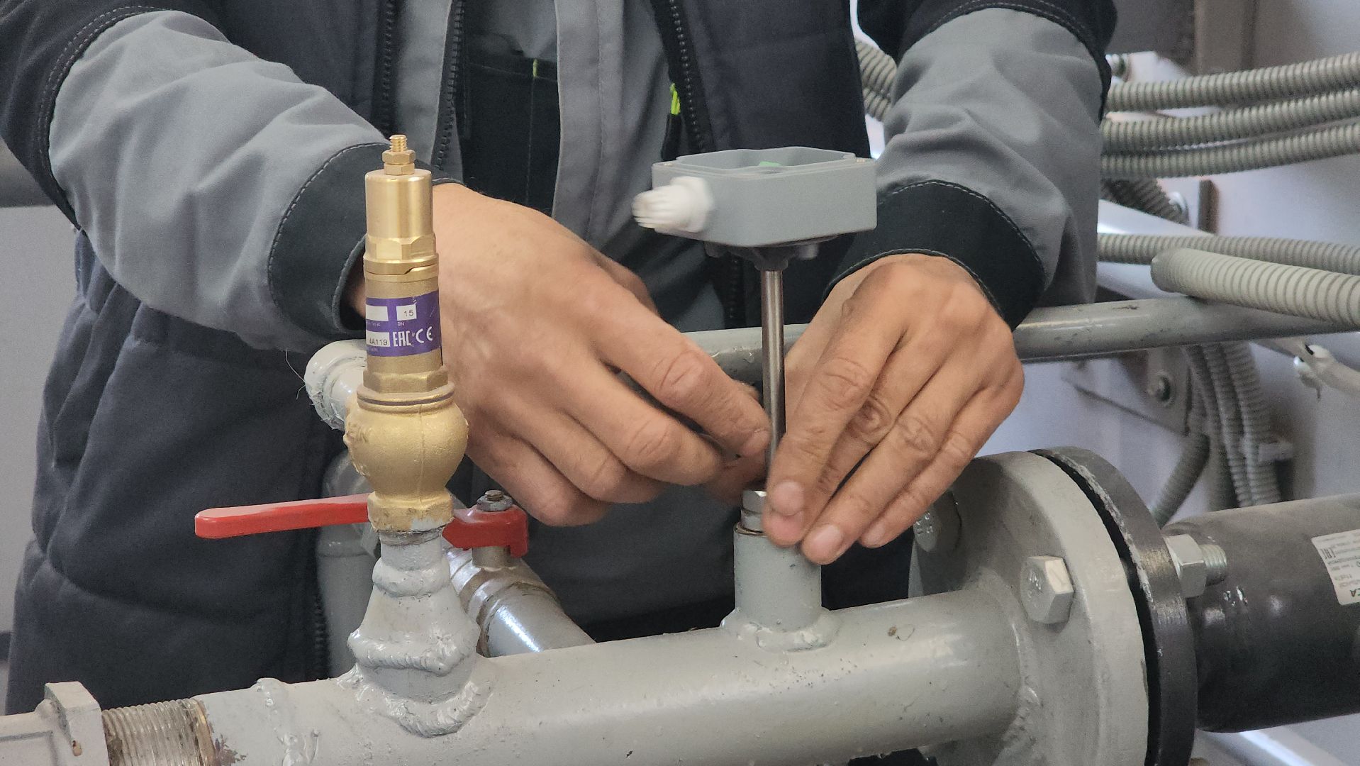 Егорьевск, Подмосковье, Московская область,