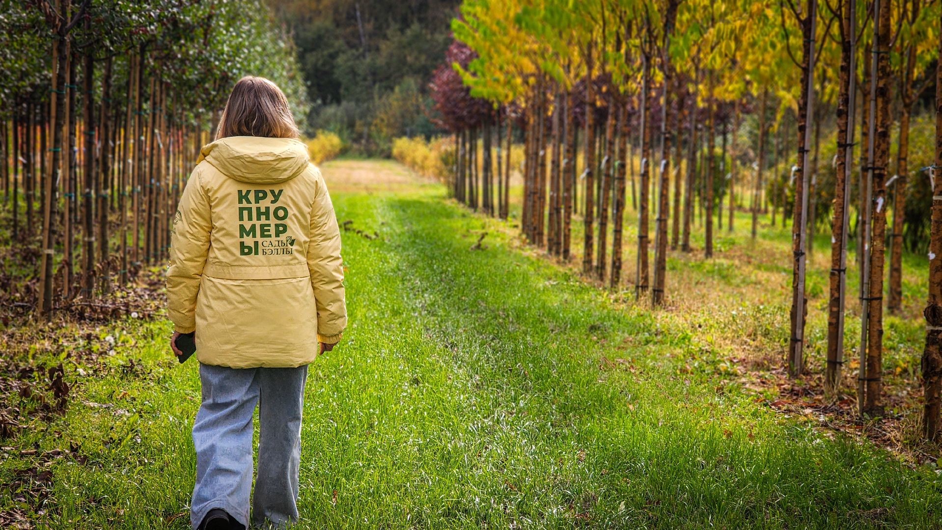 бронницы, сады бэллы, питомник аллейных деревьев в бронницах, экономика, экспорт деревьев в бронницах,